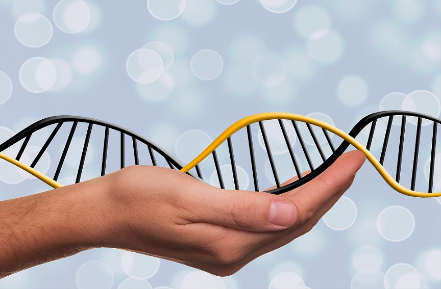 Read more about the article האם בדיקה גנטית מאריכה את חיי חולי סרטן הלבלב?