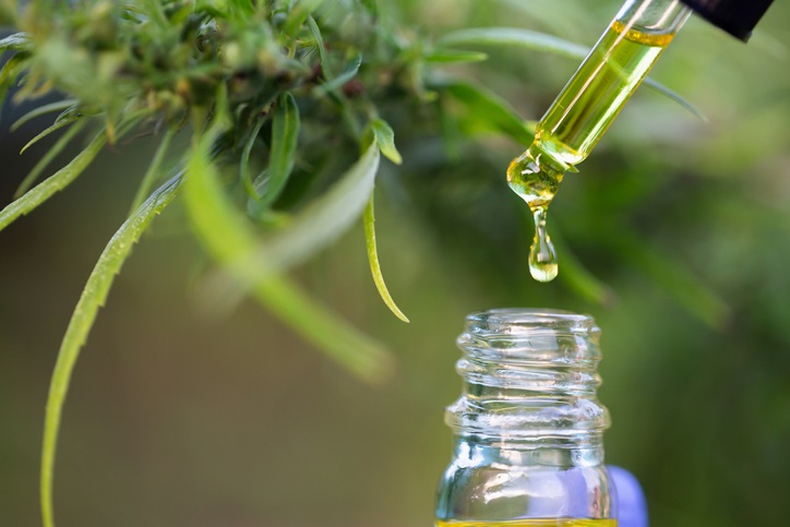 Read more about the article Cannabidiol oil failed to overcome palliative care in advanced cancer
