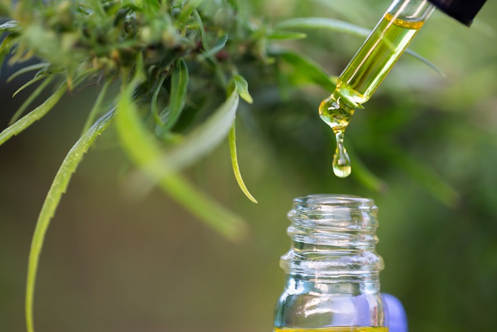 Cannabidiol oil failed to overcome palliative care in advanced cancer